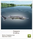 Людмила Бабікова фотография #42 (источник - https://vk.com/id155289329)