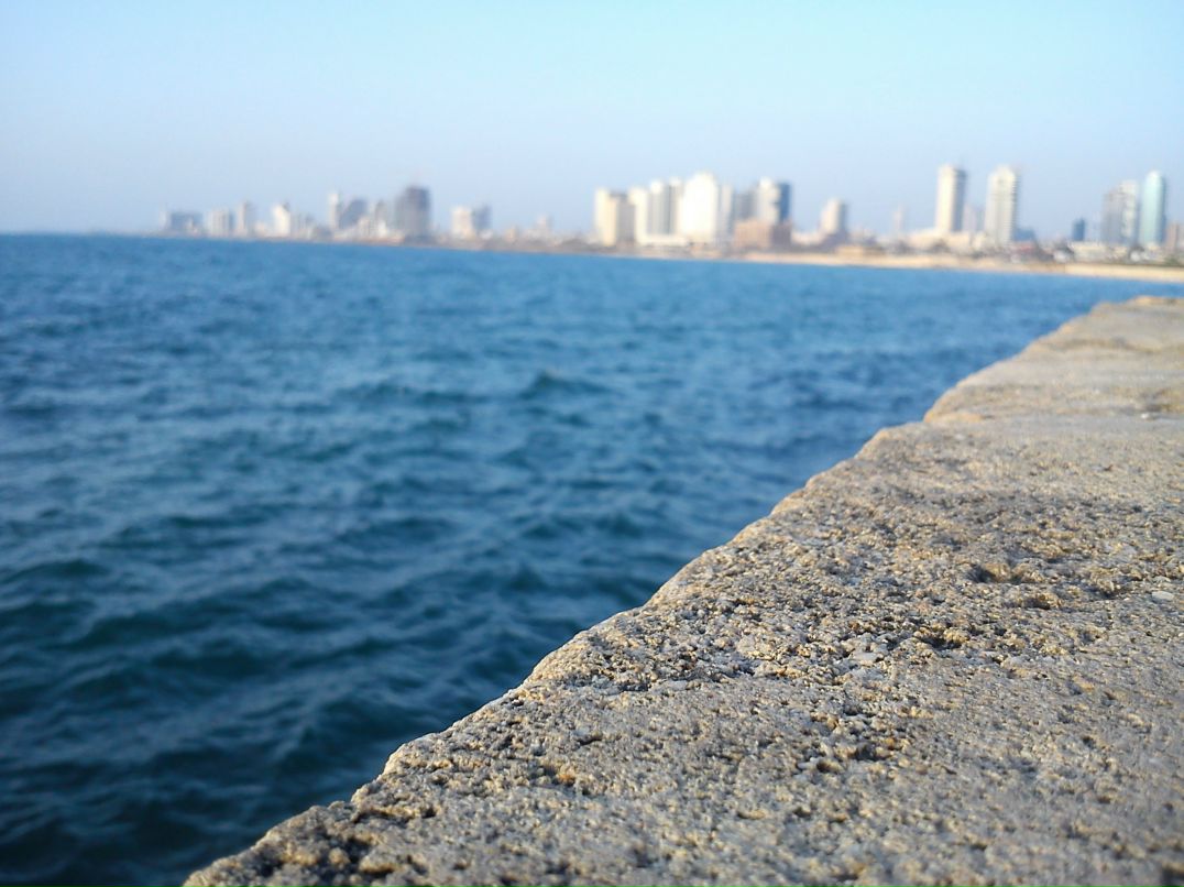 Антон Boxing фотография #34