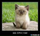 Катюшка ***♣*** фотография #11 (источник - https://vk.com/id125139006)