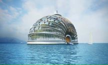 Фотография Гурбанова Рустама