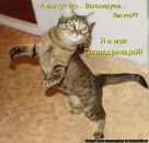 Світлана Блашко фотография #22 (источник - https://vk.com/id50099462)