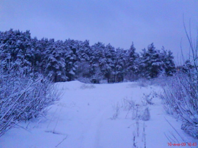 Егор Орлов фотография #25