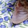 Анастасія Саввина фотография #8 (источник - https://vk.com/id152222347)