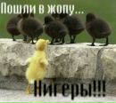 Олександр Зінкевич фотография #38 (источник - https://vk.com/id110968412)