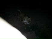 Andre Laskey фотография #38 (источник - https://vk.com/id3967924)