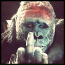 Se Ku фотография #46 (источник - https://vk.com/id1225772)