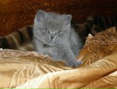 Дима Петухов фотография #31 (источник - https://vk.com/id2730252)