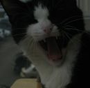 Фотография Пименовой Ольги