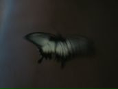 Фотография Макаренко Ульяны