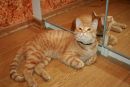 Фотография Костиной Тины