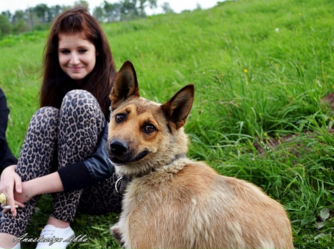 Анастасия Либба фотография #28