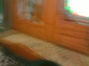 Каріна ))) фотография #37 (источник - https://vk.com/id151043267)