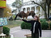 Фотография Ворсоновой Юлии