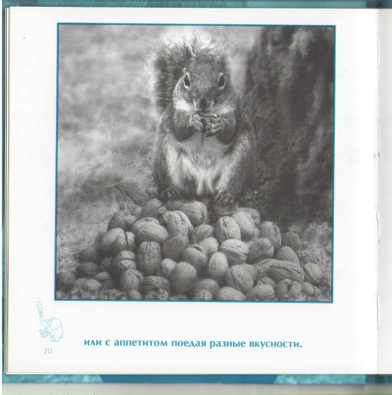 Роман Сербененко фотография #41