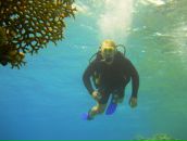 Фотография Курбатова Виктора