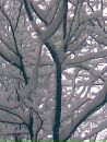 Фотография Михно Дмитрия