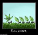 Іруня Бобошко фотография #16 (источник - https://vk.com/id77218760)