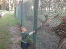Віра Бачинська фотография #49 (источник - https://vk.com/id157593120)
