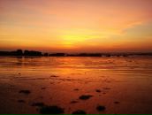 Фотография Rega Rega