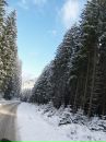 Марія Мельник фотография #11 (источник - https://vk.com/id135547975)
