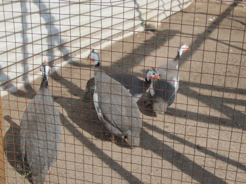 Наталья Гринёва фотография #43