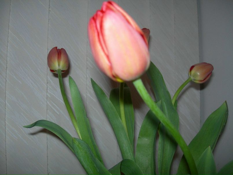 Cheatcode Hunter фотография #37