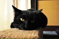 Фотография Швыдкой Людмилы