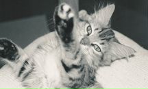 Маша Швецова фотография #14 (источник - https://vk.com/id6690686)