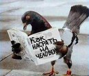 Фотография Колисниченко Анастасии