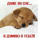 Ярослав Яцків фотография #2 (источник - https://vk.com/id161979636)