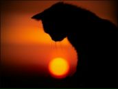 Фотография Битюковой Натальи