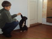 Тарас Козоріз фотография #15 (источник - https://vk.com/id128027136)