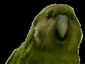 Alex Meyer фотография #25 (источник - https://vk.com/id2478875)