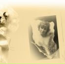 Фотография Тимоховец Светланы