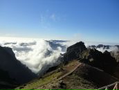 Оля Білик фотография #20 (источник - https://vk.com/id51113167)