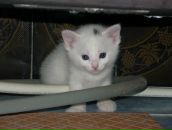 Фотография Арефьевой Анастасии