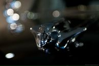 Фотография Цунаева Вадима