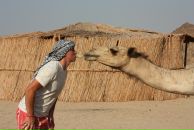 Фотография Щипцова Ира