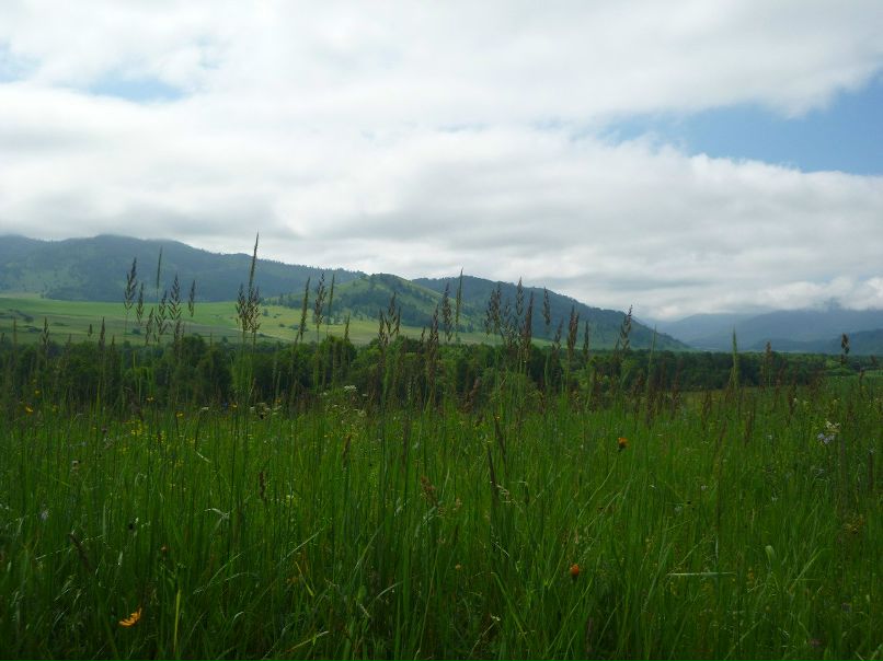 Игорь Митеев фотография #14