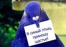 Фотография Васильевой Натальи