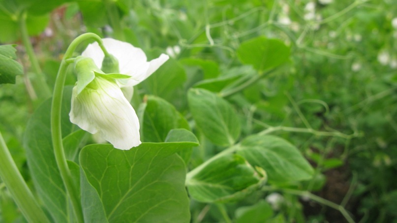 Катерина Старченко фотография #34