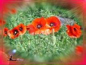 Іра Гудзій фотография #11 (источник - https://vk.com/id46904317)