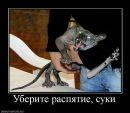Фотография Орлова Максима
