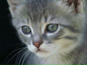 Мішка Крупа фотография #5 (источник - https://vk.com/id112395577)