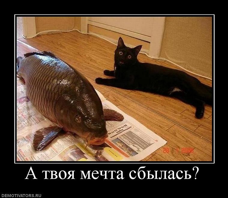 Леонид Субботин фотография #38