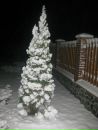 Віталік Гуменний фотография #29 (источник - https://vk.com/id50772117)