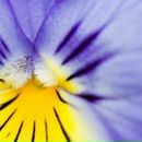 Іра Мартинюк фотография #29 (источник - https://vk.com/id160674965)