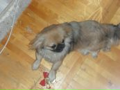 Фотография Котовой Ирины
