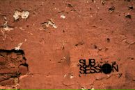 Фотография Выбора Романа