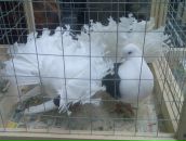 Ігор Климович фотография #3 (источник - https://vk.com/id91557540)